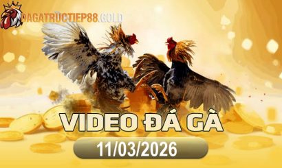 img video da ga cpc4 1773273833